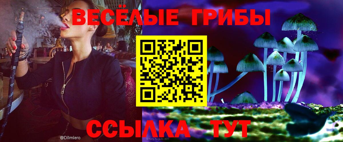 Псилоцибиновые грибы Psilocybine cubensis Ирбит